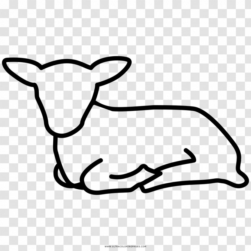 Agneau Coloring Book Sheep Drawing Lamb And Mutton - Tail Transparent PNG