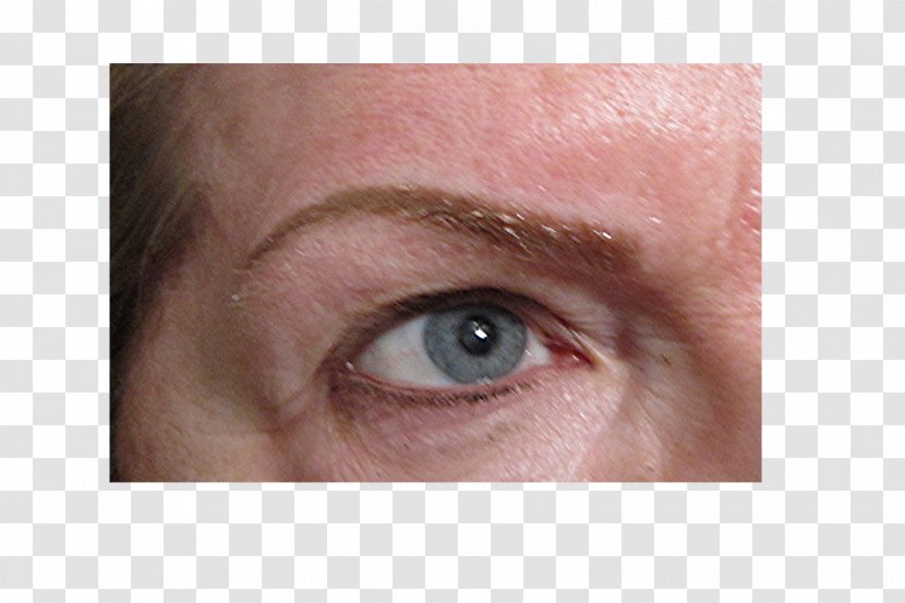 Eyelash Extensions Eye Liner Shadow Eyebrow Lip - Wrinkle - Nose Transparent PNG