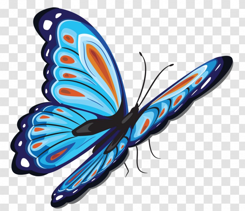 Butterfly Clip Art Brush-footed Butterflies Image - Moths And Transparent PNG
