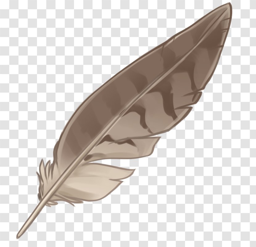 Eagle Feather Law Native Americans In The United States - Wing Transparent PNG