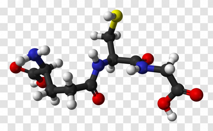 Glutathione Antioxidant Cell Radical Human Body - Alkaline Diet - Freeradical Theory Of Aging Transparent PNG