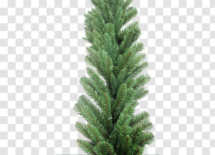 Spruce Christmas Tree Garland Transparent PNG
