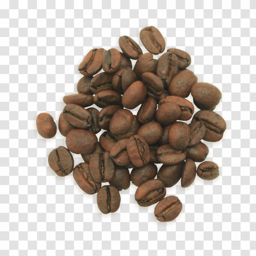 Jamaican Blue Mountain Coffee Nut Philz Chocolate - Cocoa Bean Transparent PNG