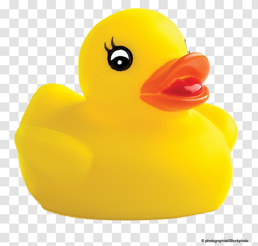 Duck Toy Transparent PNG