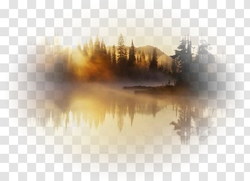 Desktop Wallpaper Photography Mirror - Water - Sunlight Transparent PNG