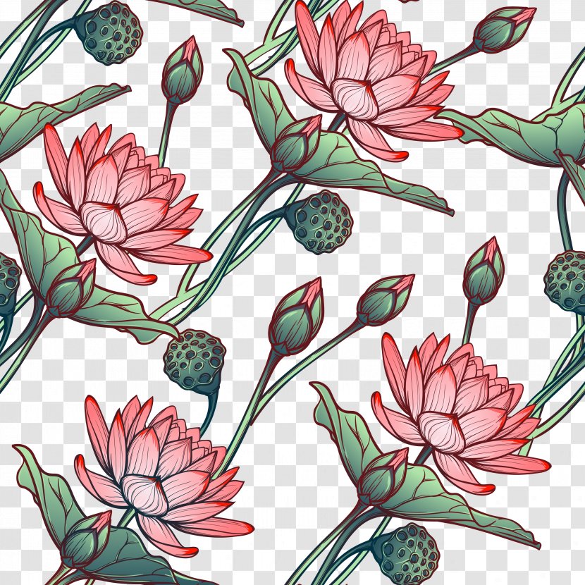 Water Lily Floral Design Nelumbo Nucifera Flower - Photography - Pink To Avoid Lotus Transparent PNG