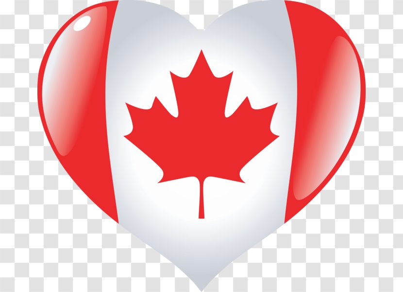Flag Of Canada Vector Graphics Illustration - Union Jack Transparent PNG