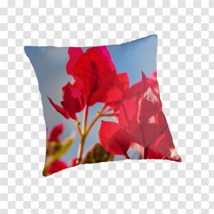 Throw Pillows Cushion Flower Petal - Bougainvillea Transparent PNG