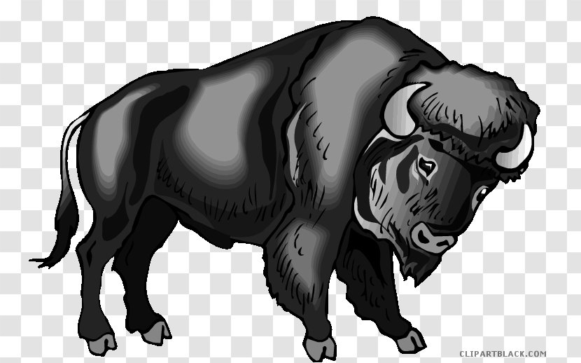 Water Buffalo Clip Art Image - Horse Like Mammal - Head Black And White Transparent PNG