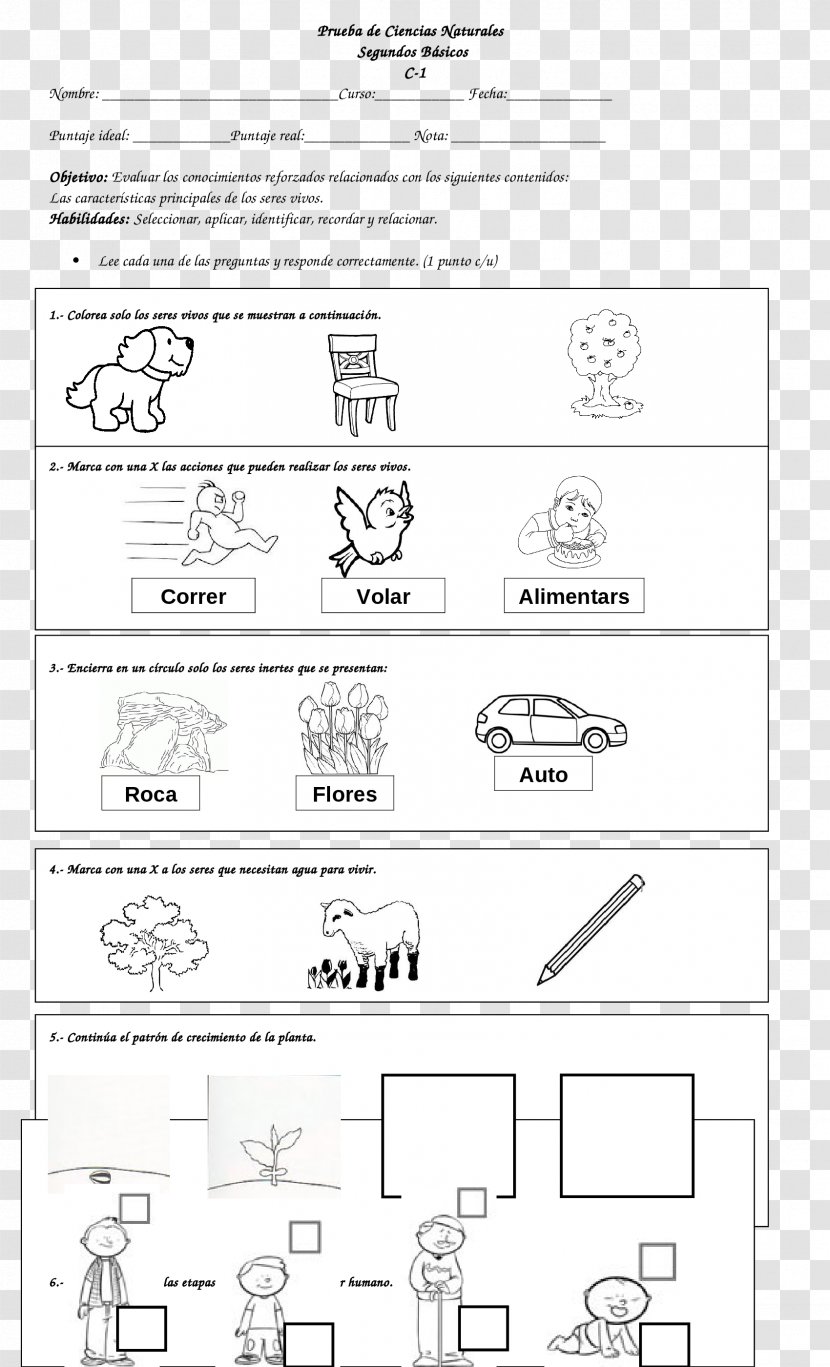 Line Art Document Drawing Cartoon - Parallel - Design Transparent PNG