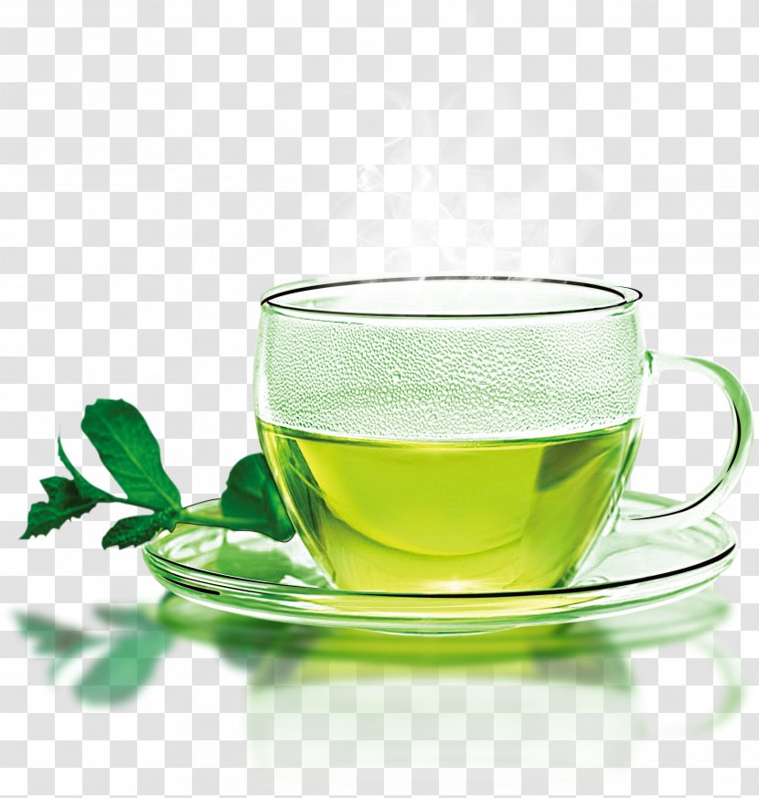 Leaf Green Tea - Chinese Herb - Liqueur Herbaceous Plant Transparent PNG