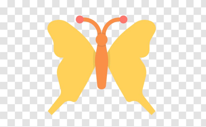 Butterfly Insect Clip Art - Moth Transparent PNG