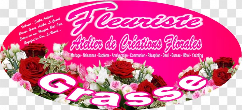 Garden Roses Fleuriste - Flower - FleursFlower Floral Design CiprofloxacinFlower Transparent PNG