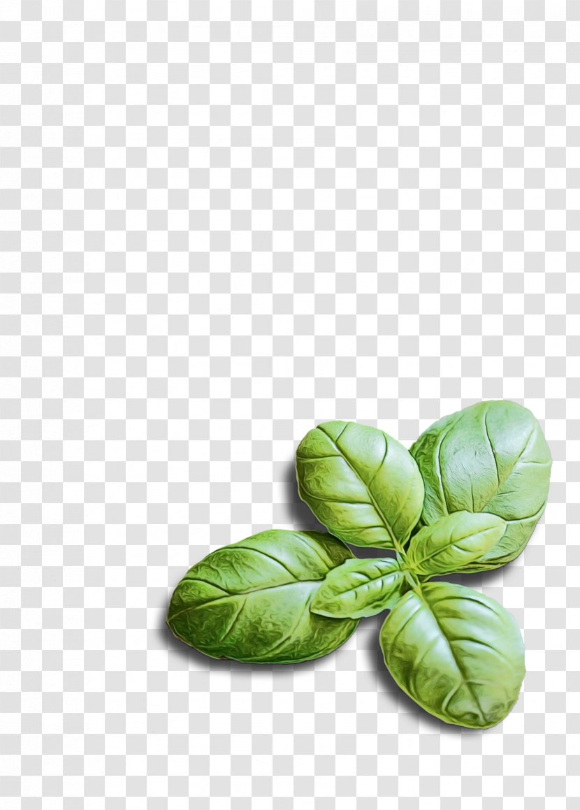 Green Leaf Background - Vegetable - Vegetarian Food Transparent PNG