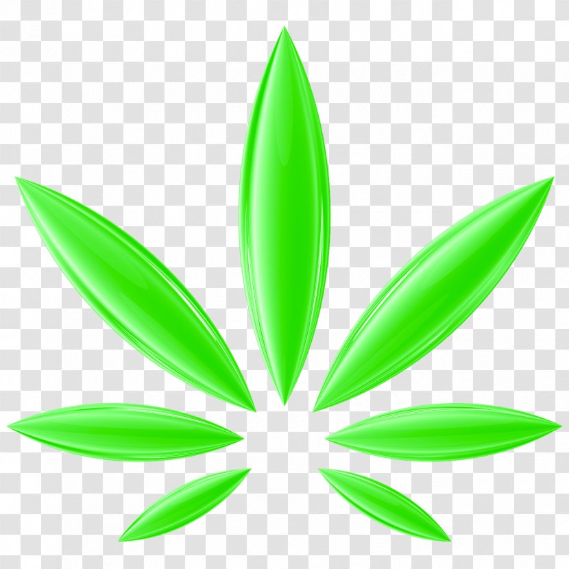 Cannabis Sativa Hemp Medical Drug - Plant Transparent PNG