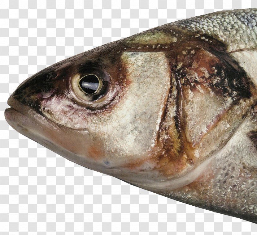 Fish Head Soup Food Barreleye - Cooking - Fishing Rod Transparent PNG