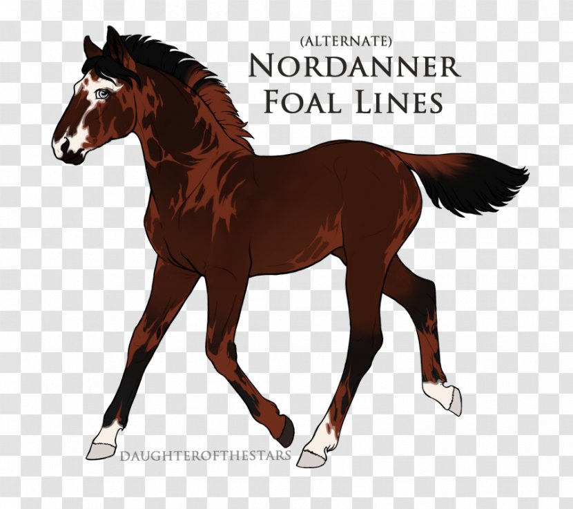 Mustang Foal Mare Pony Stallion - Horse Tack - Quetzalcoatl Ouroboros Transparent PNG
