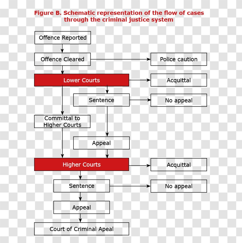 New South Wales Court Criminal Justice Judiciary Procedure - Material - Children Presided Over Transparent PNG