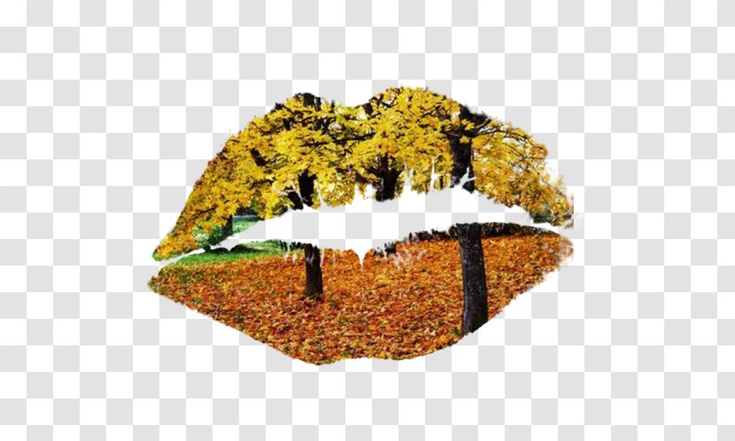 Lip Mouth - Leaf - Free To Pull The Material Lips Image Transparent PNG
