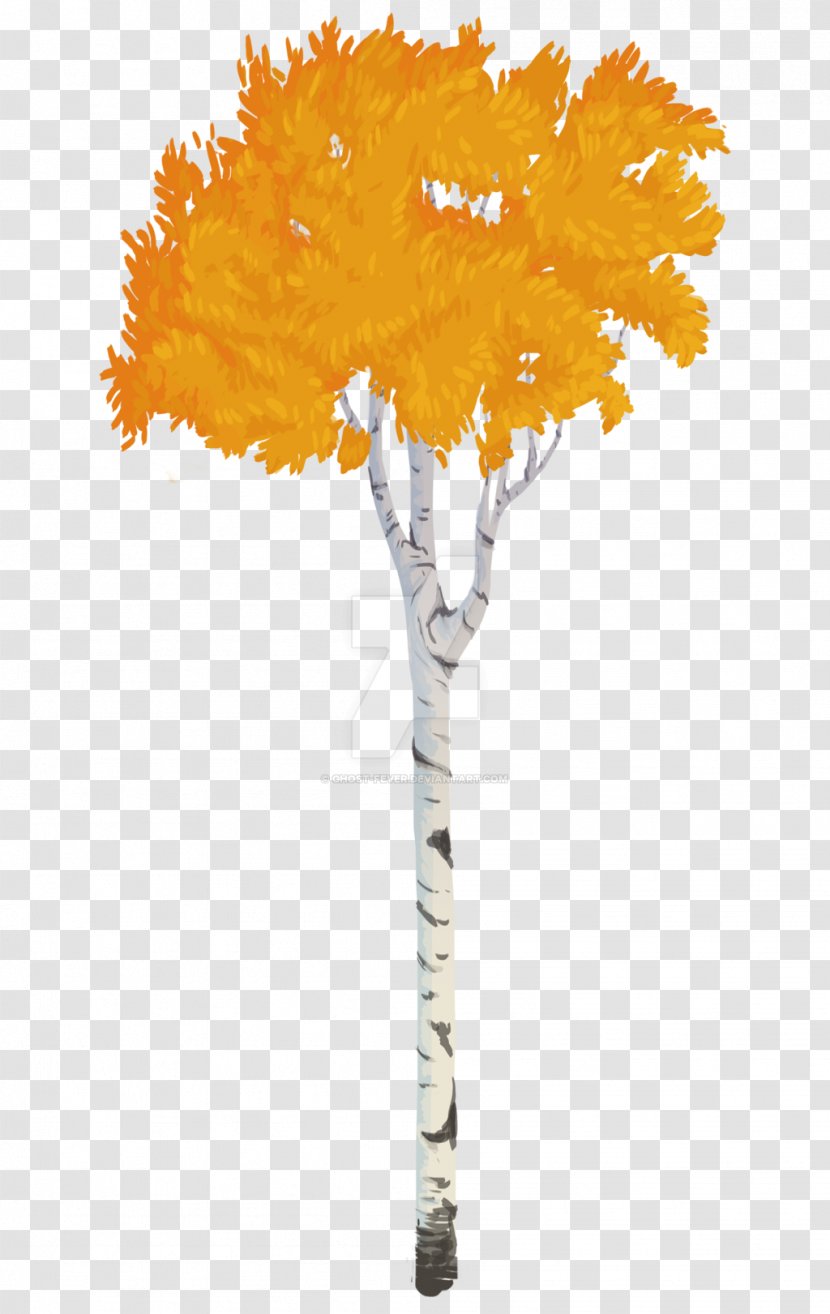 Twig Quaking Aspen Tree Birch - Spruce Transparent PNG