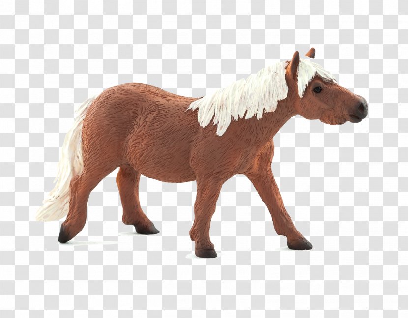 Shetland Pony Mustang Thoroughbred Appaloosa - Horse Transparent PNG
