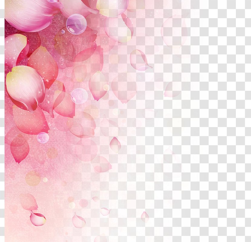 Women's Day Background - Texture - Computer Graphics Transparent PNG