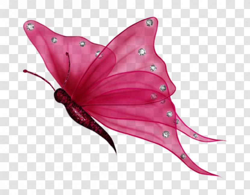 Butterfly Clip Art - Color - Flying Butterflies Transparent Background Transparent PNG