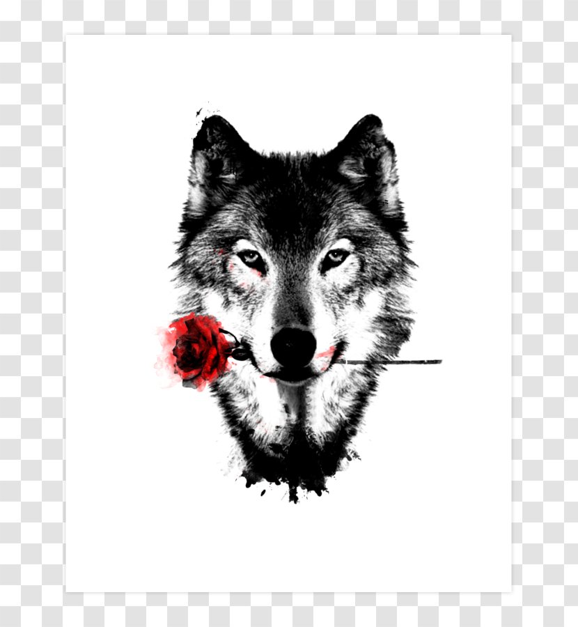 Desktop Wallpaper Dog Lone Wolf High-definition Television - Like Mammal - Creative Transparent PNG