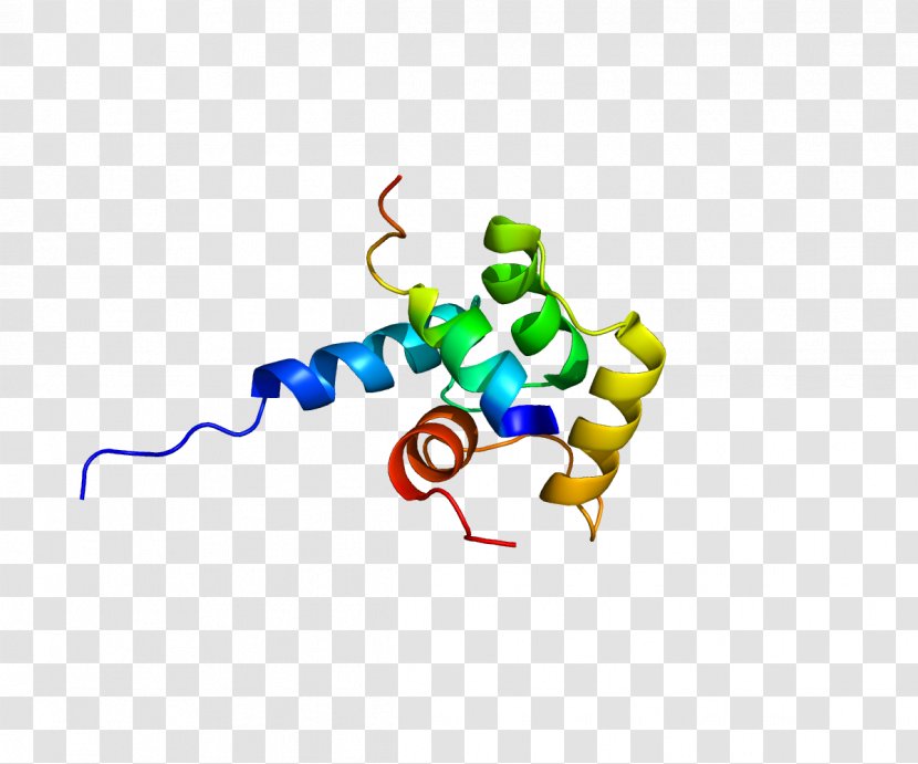 XPC Protein Nucleotide Excision Repair Xeroderma Pigmentosum XPB - Cell - J Transparent PNG