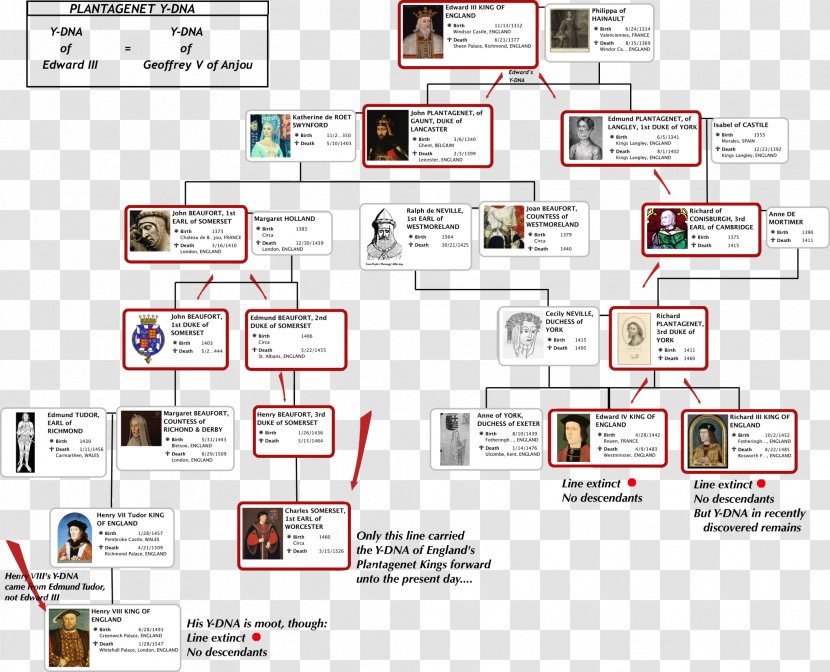 Family Tree Genealogy Ancestor Child - Edward Iii Of England - British Royal Transparent PNG