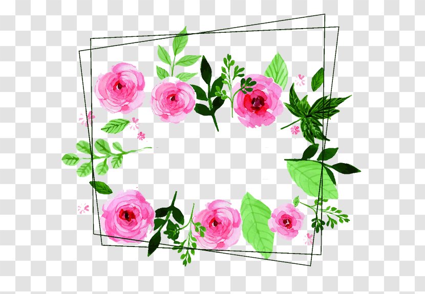 Flower Floral Design Painting - Gift - Decoration Transparent PNG