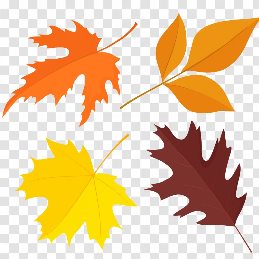 Leaf Autumn Euclidean Vector Illustration - Color - Maple Angle Transparent PNG
