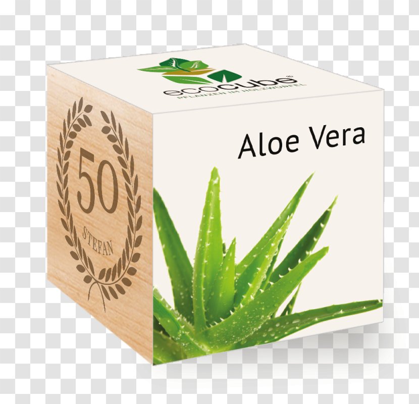 Aloe Vera Cube Plants GROW Ecocube Holzwürfel - Flower Transparent PNG