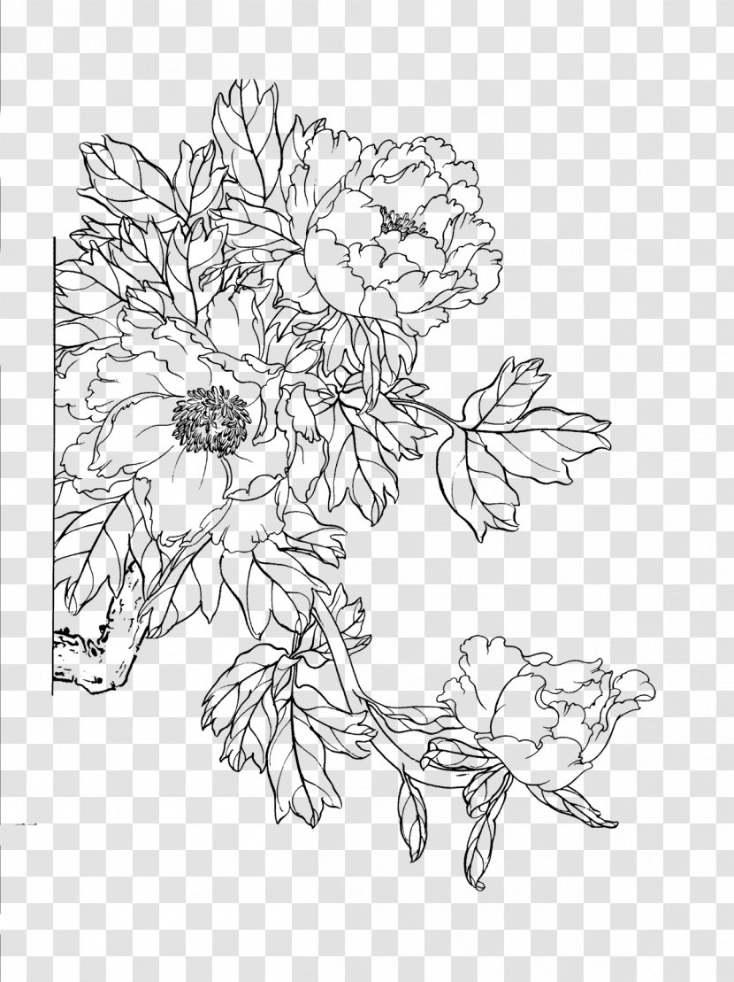 Moutan Peony Download Floral Design - Point - Artwork Line Drawing Transparent PNG