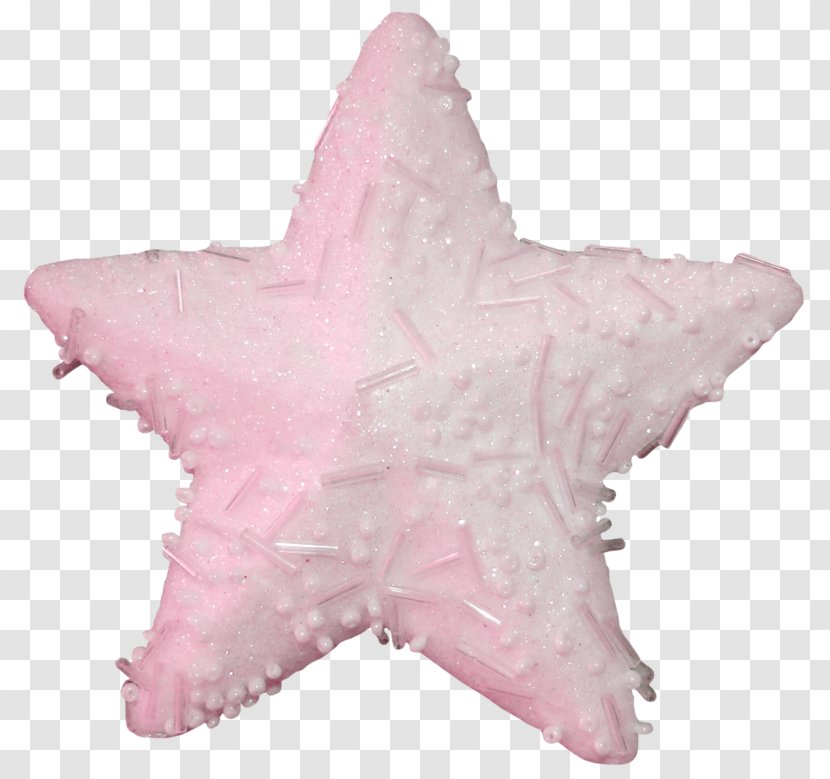 Twinkle, Little Star Starfish Ping - Pink Transparent PNG