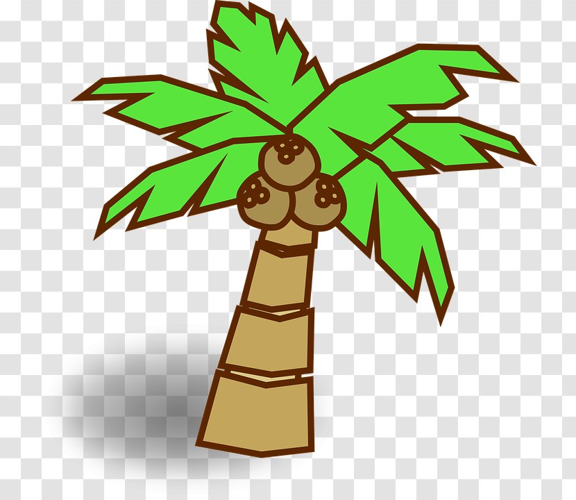 Arecaceae Coconut Tree Drawing - Water Transparent PNG