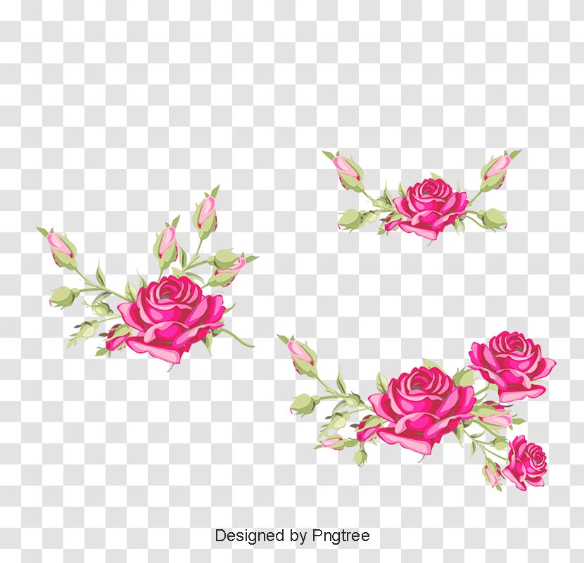 Garden Roses Cabbage Rose Floral Design Cut Flowers - Pnk - Flower Transparent PNG