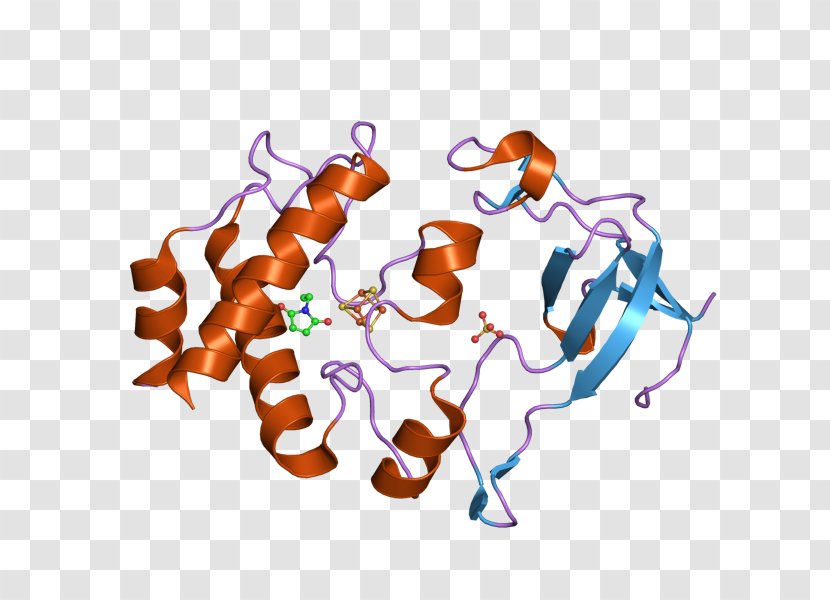 Ferredoxin-thioredoxin Reductase Oxygenic Photosynthesis: The Light Reactions - Cartoon - Frame Transparent PNG