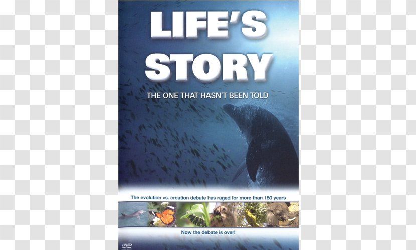 Ecosystem Fauna Advertising Animal Life - Geology Darwin Transparent PNG