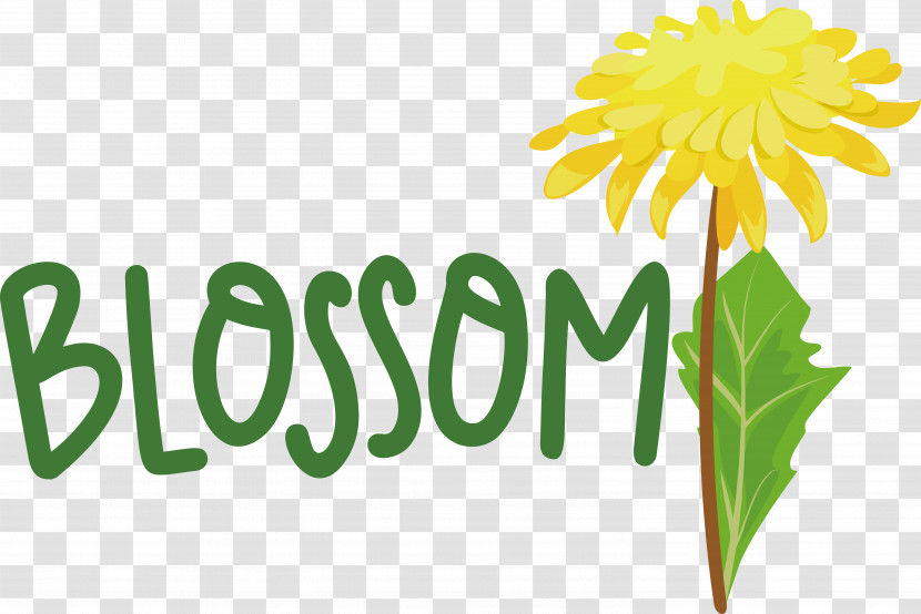 Dandelions Plant Stem Flower Logo Cut Flowers Transparent PNG