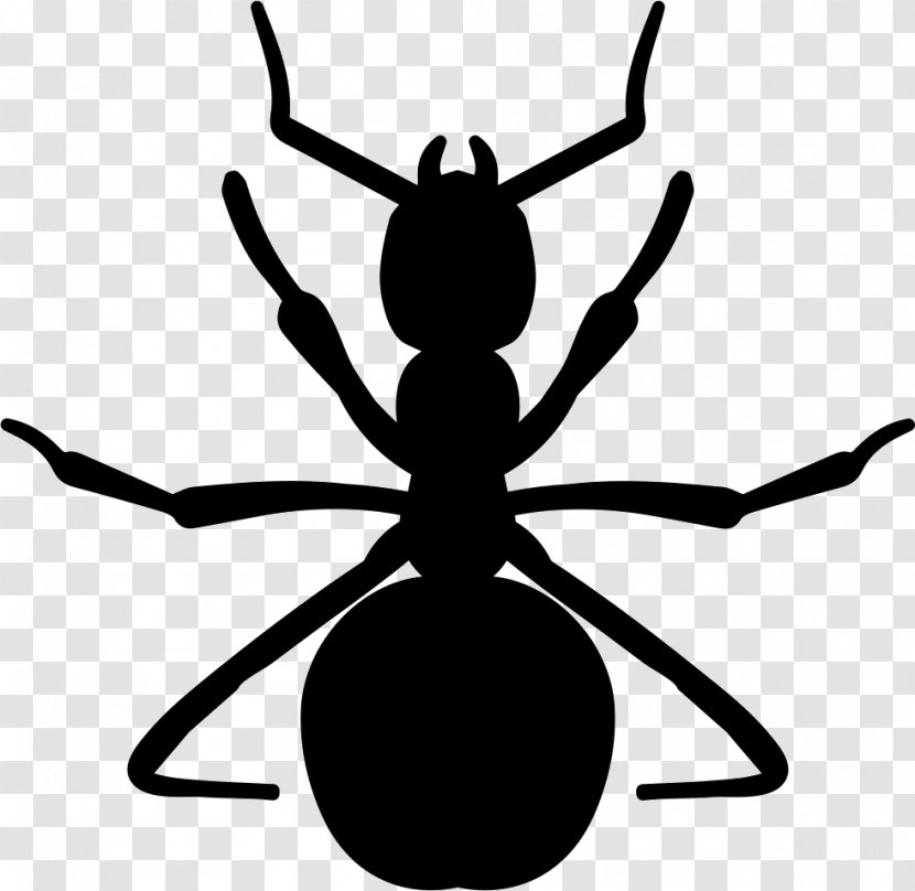 Clip Art Ant Insect Arthropod Vector Graphics - Membrane Winged Transparent PNG