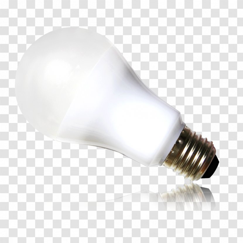 Lighting - Daily Light Bulbs Transparent PNG