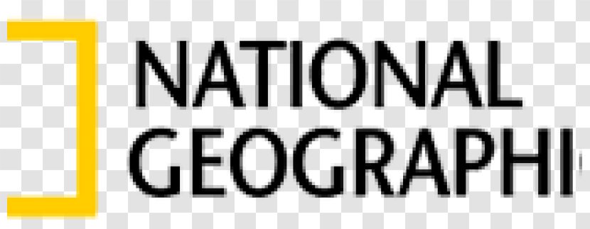 Logo Brand Font Line Angle - Area Transparent PNG
