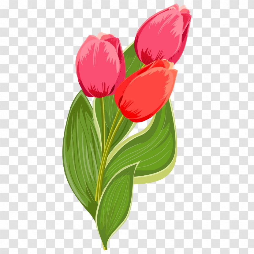 International Womens Day Quotation Happiness Woman Wish - Saying - Bouquet Of Red Tulips Transparent PNG