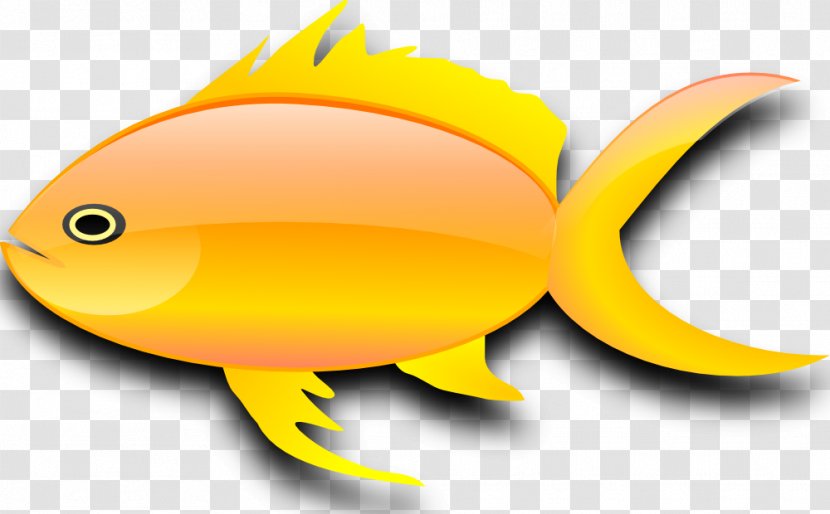 Carassius Auratus Fish Clip Art - Free Content - Gold Clipart Transparent PNG