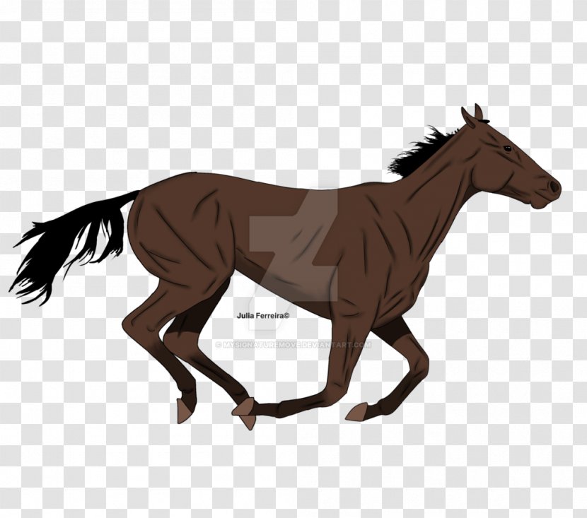 Mustang Foal Pony Stallion Animated Film - Colt Transparent PNG