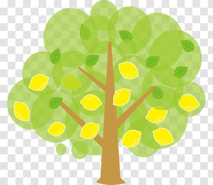 Lemon Key Lime Tree Clip Art - Public Domain Transparent PNG
