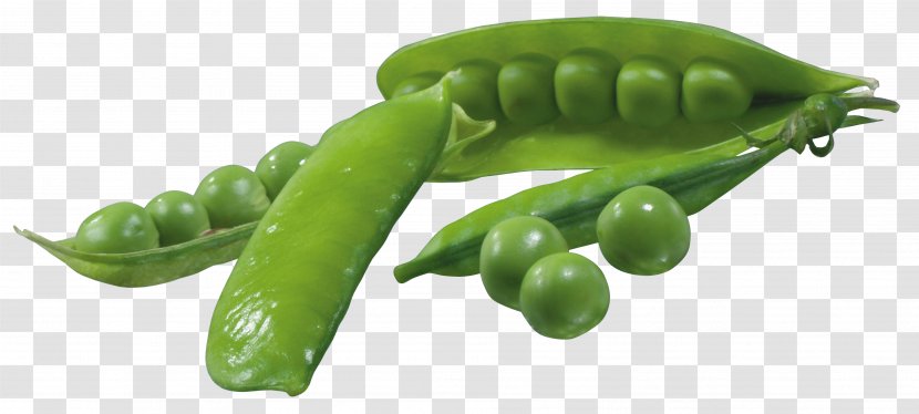 Pea Clip Art - Produce - Pods Picture Transparent PNG