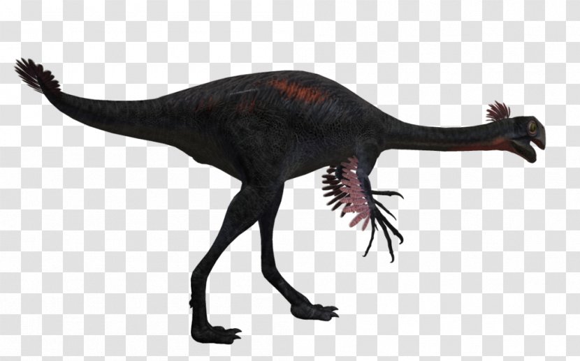Tyrannosaurus Velociraptor Animal Transparent PNG