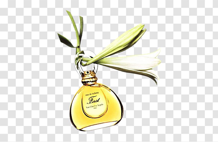 Van Cleef & Arpels Perfume Aldehyde Aroma Bergamot Orange - Jewellery - Luxury Transparent PNG